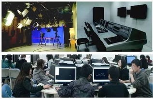 據統計,大學這10個專業就業最不穩定,圖安穩的考生和家長慎選