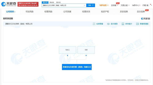 馬蘇投資兩家海南新公司